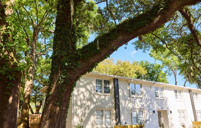 River Front Apartments