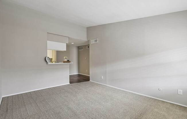 A room with a carpeted floor and a mirror on the wall.