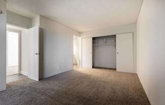 A room with a carpeted floor and two closets.