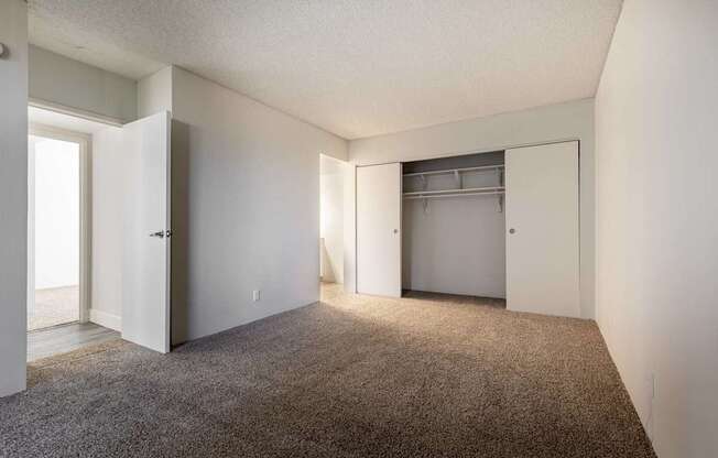 A room with a carpeted floor and two closets.