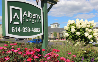 Albany Corners