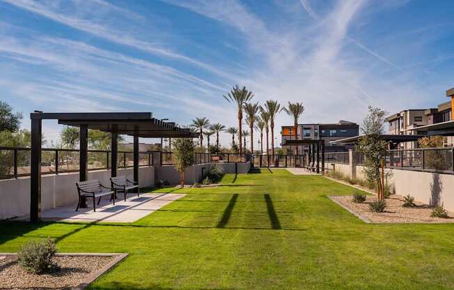 A modern outdoor seating area with a grassy lawn and palm trees.