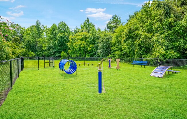 Unwind at Crossings @ 501 Apartments, where our spacious grounds feature a vibrant play area perfect for your furry friends! Enjoy a backdrop of lush greenery and community-friendly amenities. Schedule your tour today!
