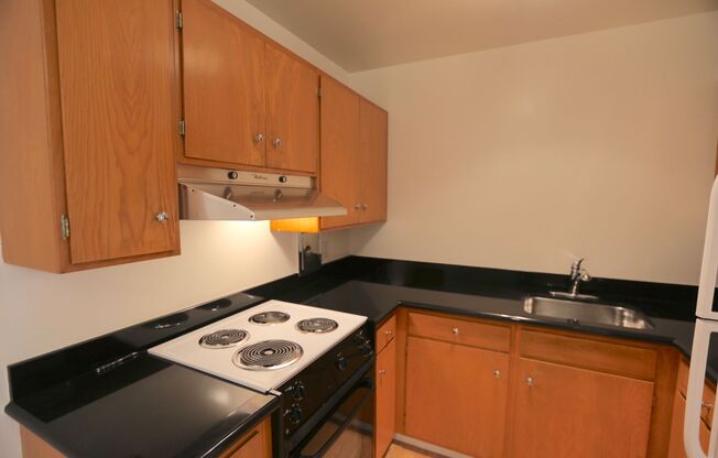 1 bed, 1 bath, $2,500, Unit 7