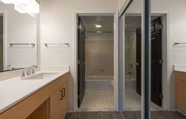 a bathroom with a sink and a shower and a mirror