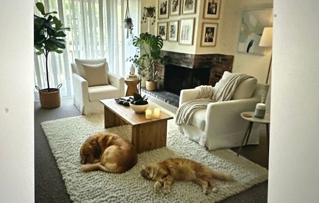 2 beds, 1 bath, 897 sqft, $1,400, Unit 1729-05