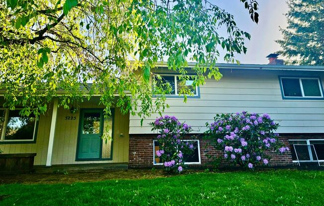 Mid-Century Classic House in Reedwood Neighborhood - Eastmoreland