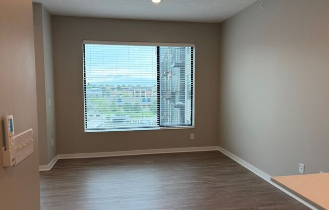 Studio, 1 bath, 601 sqft, $1,149, Unit 411
