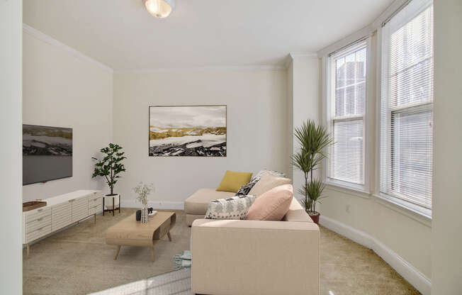 1 bed, 1 bath, 448 sqft, $2,650