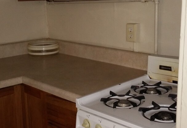 1 bed, 1 bath, $1,250, Unit Apt. 03