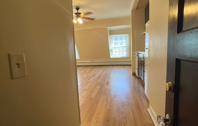 Studio, 1 bath, 370 sqft, $1,050, Unit A-38