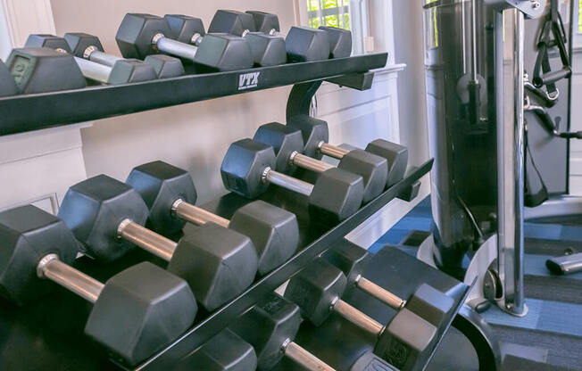 Free Weights at The Residence at Christopher Wren Apartments, Columbus