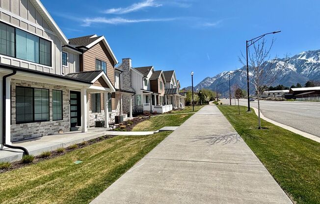 Exclusive Luxury Townhome at Dimple Dell!