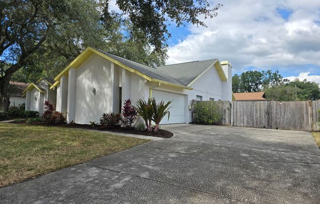 Single Family Home in Suburban Temple Terrace