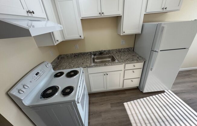 1 bed, 1 bath, 490 sqft, $1,375, Unit 1