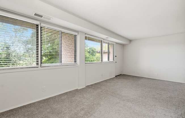 A room with a carpeted floor and two windows with blinds.