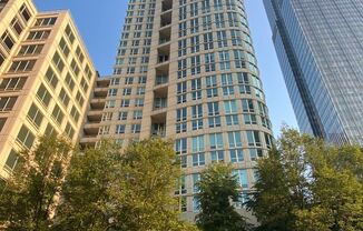 345 N LaSalle Blvd Unit 3202