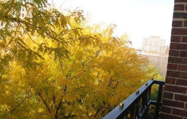 Studio, 1 bath, 450 sqft, $1,525, Unit 530-302