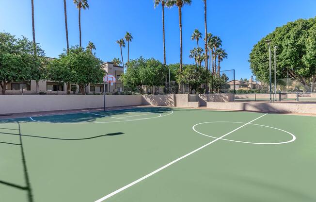 a basketball court