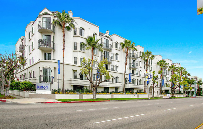 a white building with palm trees in front of a street