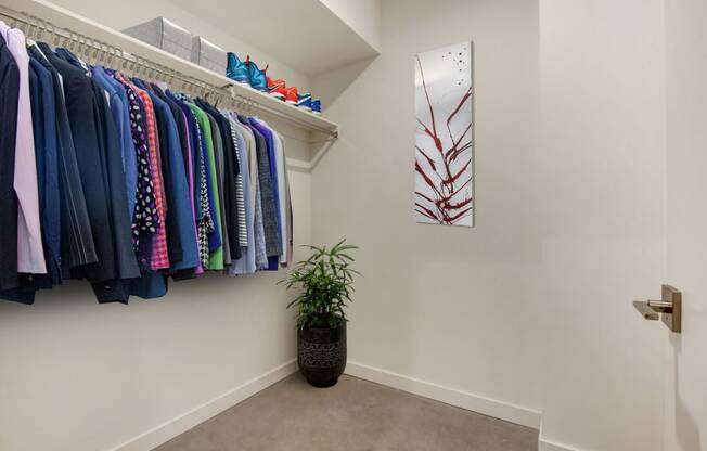 a walk in closet with a plant and rack of clothes