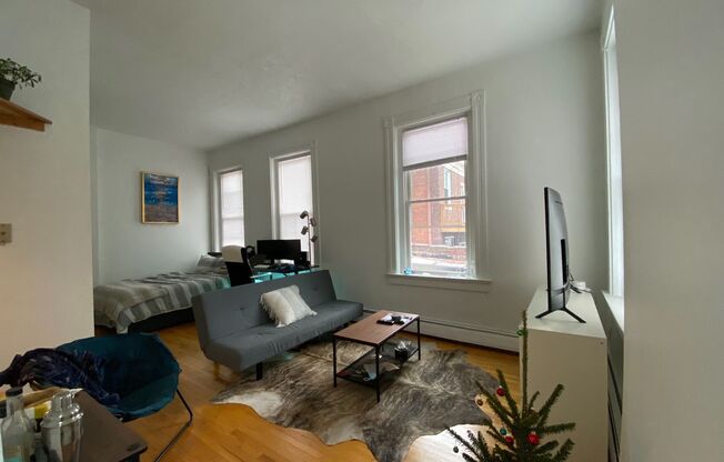 Studio, 1 bath, 480 sqft, $950, Unit Unit 4