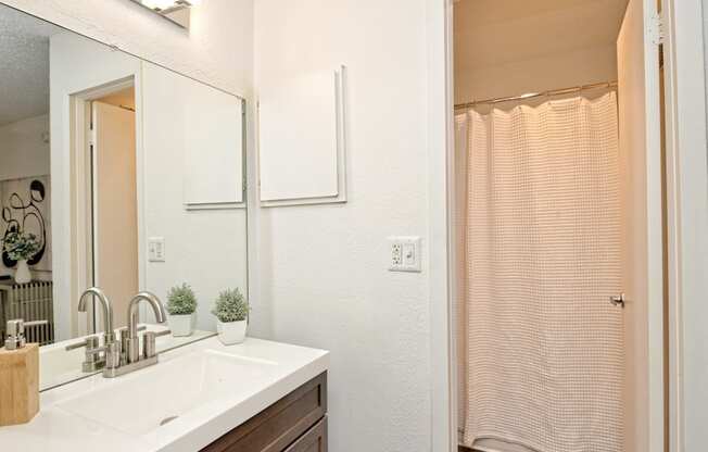 a bathroom with a sink and a shower and a mirror