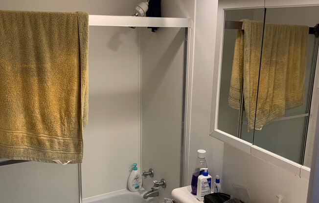 Studio, 1 bath, $1,515, Unit 257