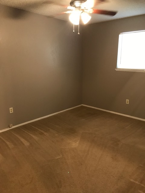 2 beds, 1 bath, $995