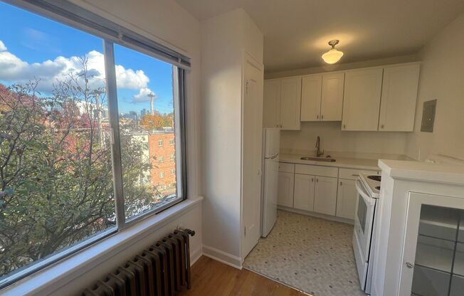 1 bed, 1 bath, $1,495, Unit 302