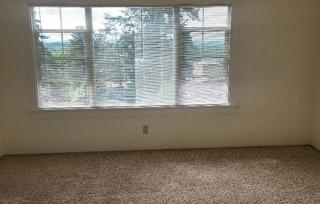 1 bed, 1 bath, 700 sqft, $995