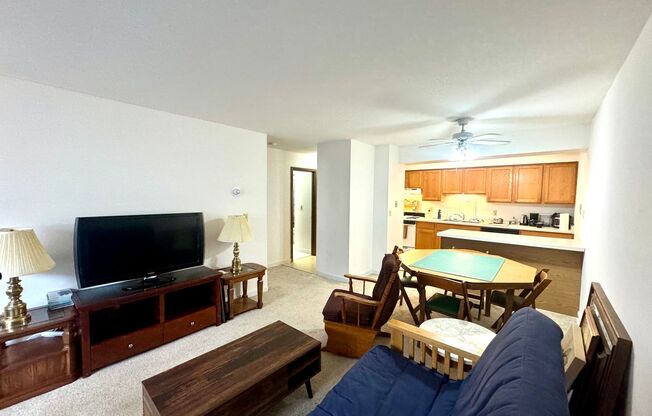1 bed, 1 bath, $1,095, Unit 303
