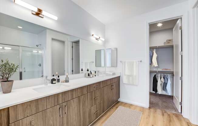 Skye Canyon, NV Townhomes Near The Las Vegas Strip - Banyan Brighton - Bathroom with Wood-Inspired Flooring and Cabinets, White Counters, and an Oversized Closet with Carpet