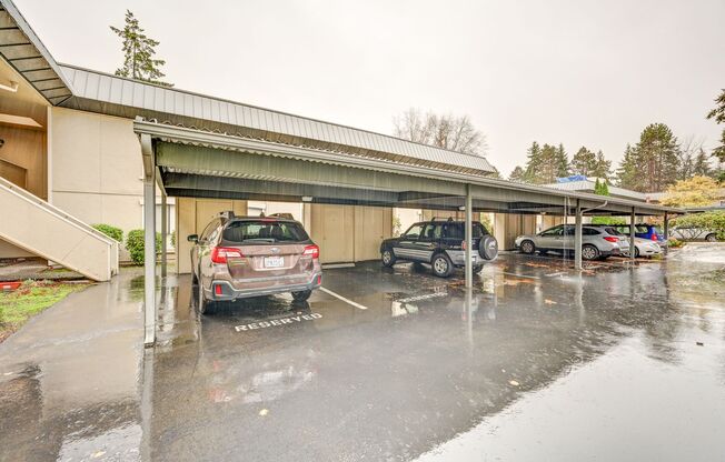 Cozy Condo, Smack-dab in the Middle of Bellevue