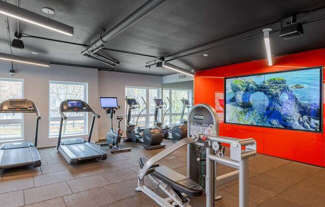 A gym with treadmills, exercise bikes, and a television screen showing a rocky landscape.