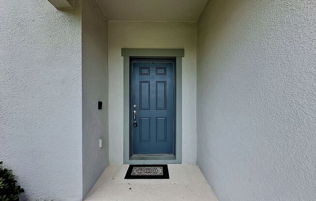 Beautiful and spacious Home in East Lake Preserve, Kissimmee