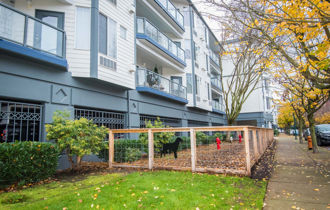 a dog in a fenced in area in front of an apartment building