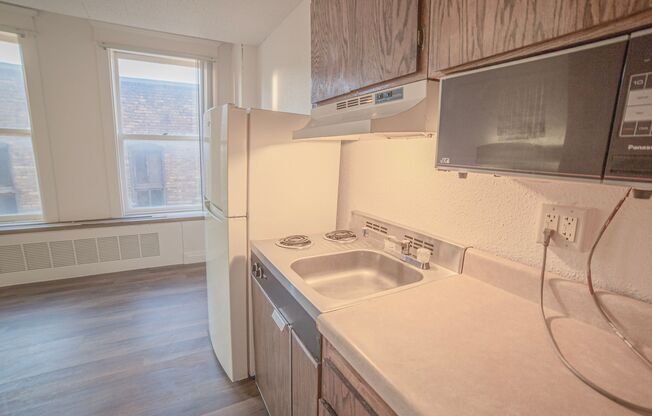 Studio, 1 bath, 200 sqft, $475, Unit 316