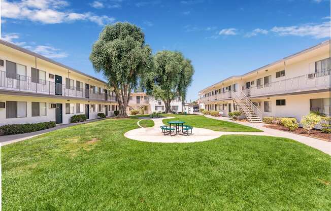 A sunny day at a courtyard with a green lawn and a tree.