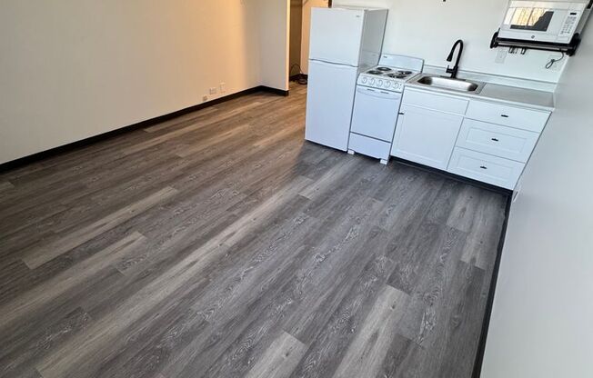 Studio, 1 bath, 265 sqft, $705, Unit 316