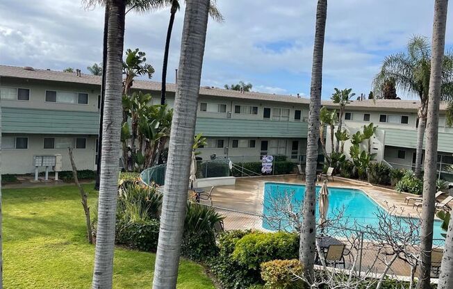 The Palms