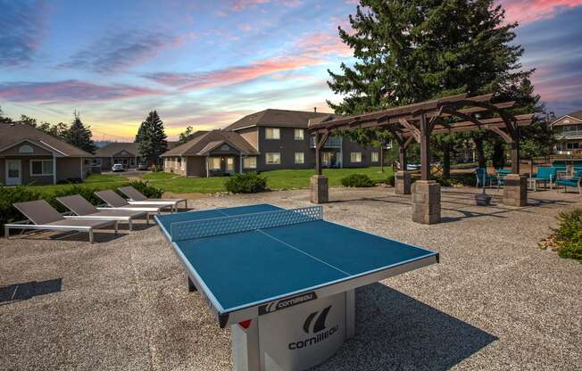 Hinton Height_Cottage Grove_MN_enjoy a game of ping pong at our community courts with picnic tables and chairs
