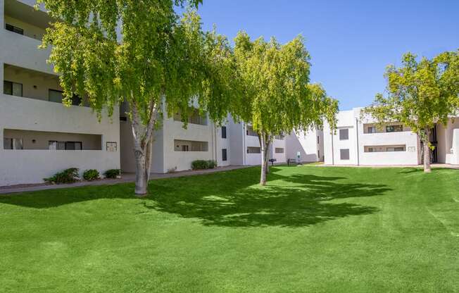 a grassy area with trees in front of a building