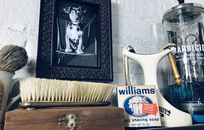 The District Dog Spa