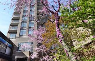 1 bed, 2 baths, 920 sqft, $6,950, Unit 902