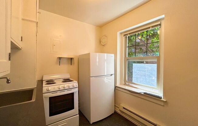 Studio, 1 bath, 285 sqft, $1,095, Unit R003