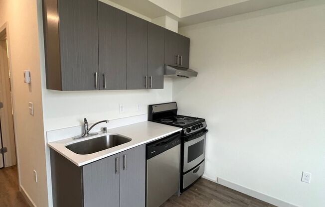 Studio, 1 bath, 311 sqft, $1,245, Unit 408 MFTE