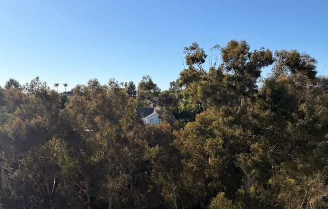 Studio, 1 bath, 362 sqft, $2,660, Unit 904