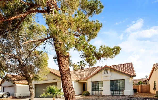 One Story 3 Bed / 2 Bath Single Family Home with Fenced Yard in Las Vegas