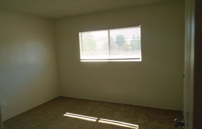 PALM ST 2315 A-G